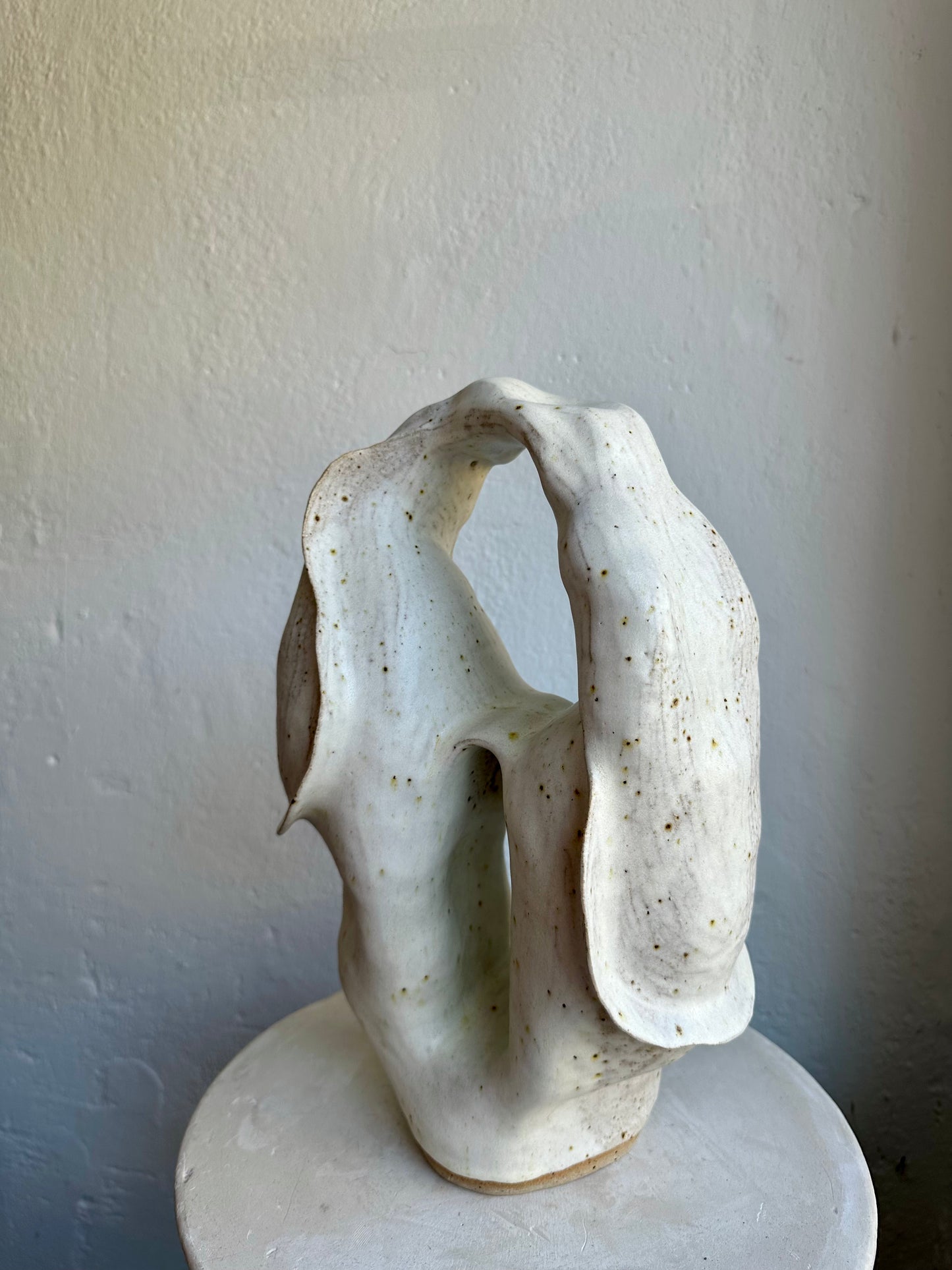 Closed Coral Form 01 (C32)