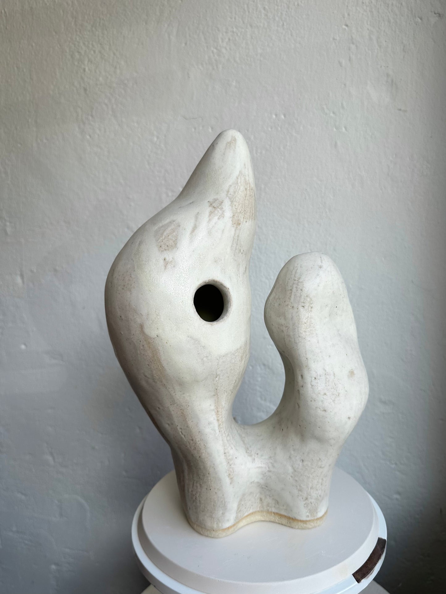 White Coral Form 01 (C31)