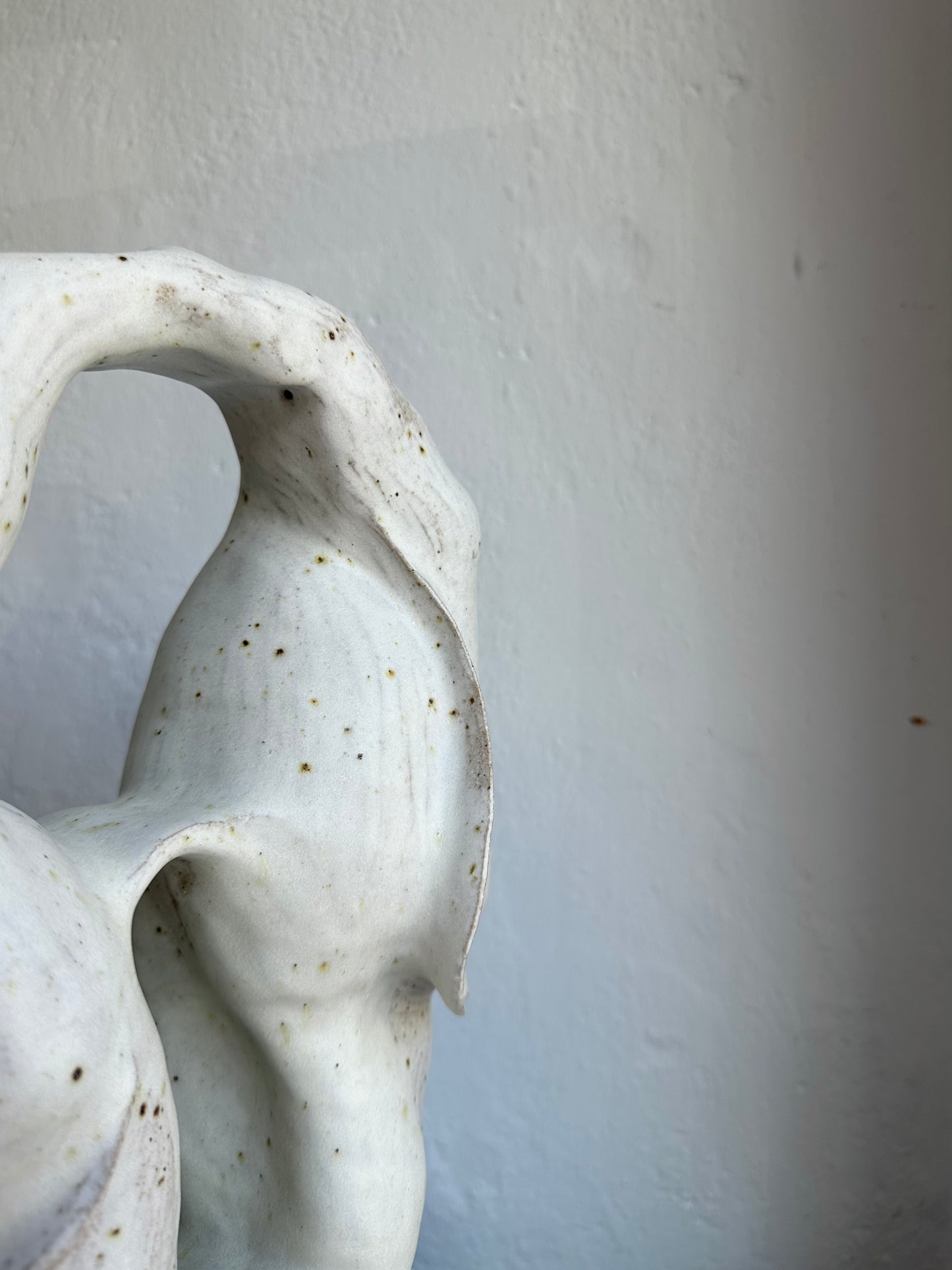 Closed Coral Form 01 (C32)