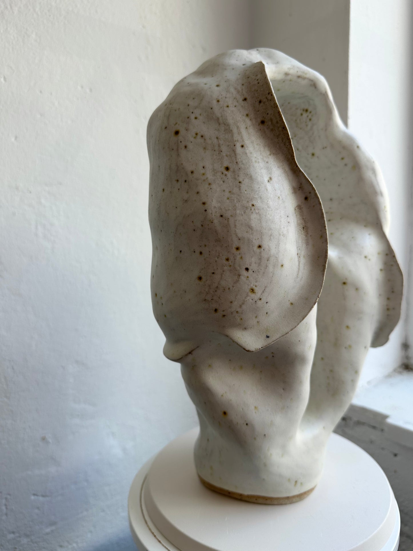 Closed Coral Form 01 (C32)
