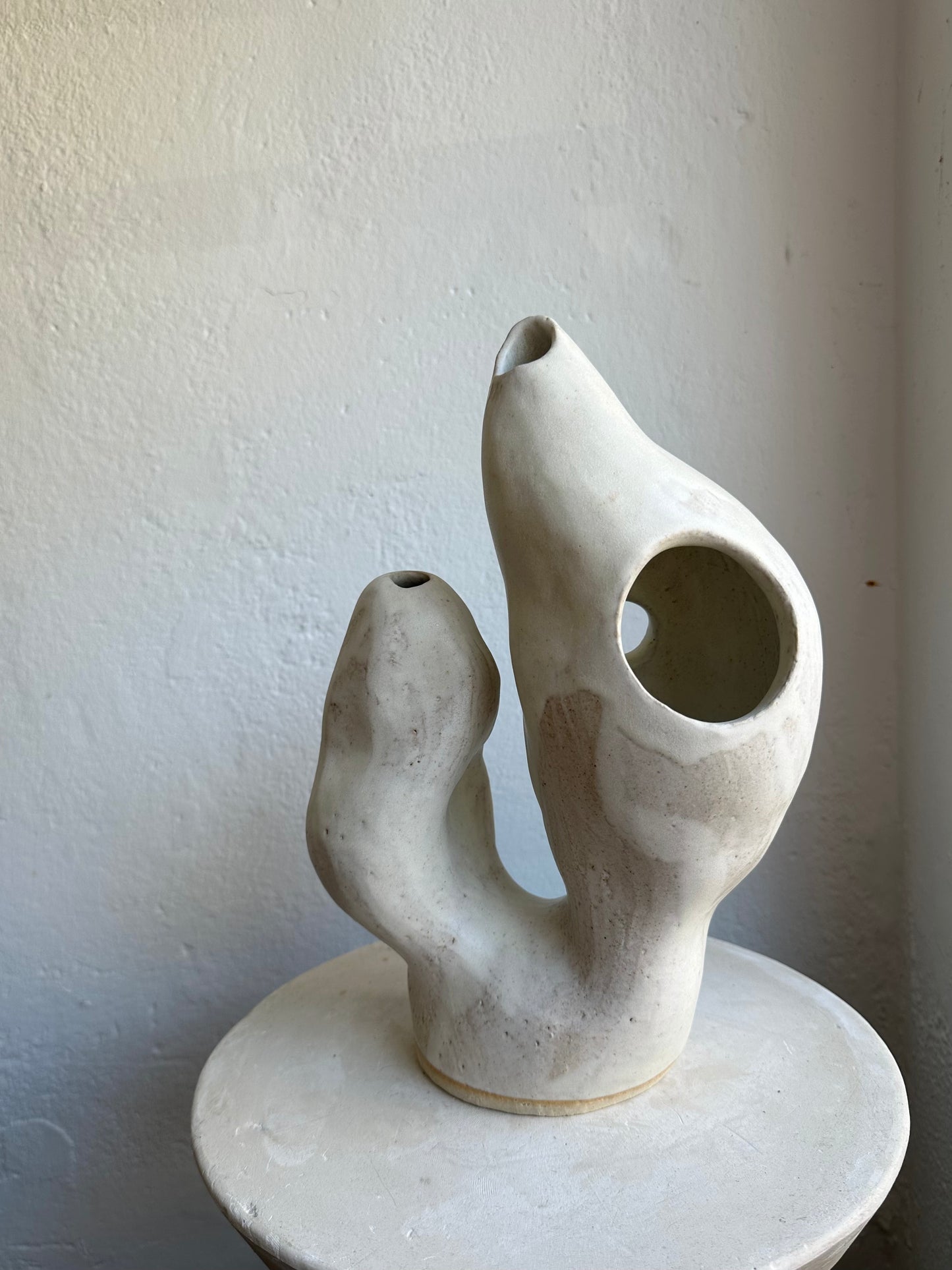 White Coral Form 01 (C31)