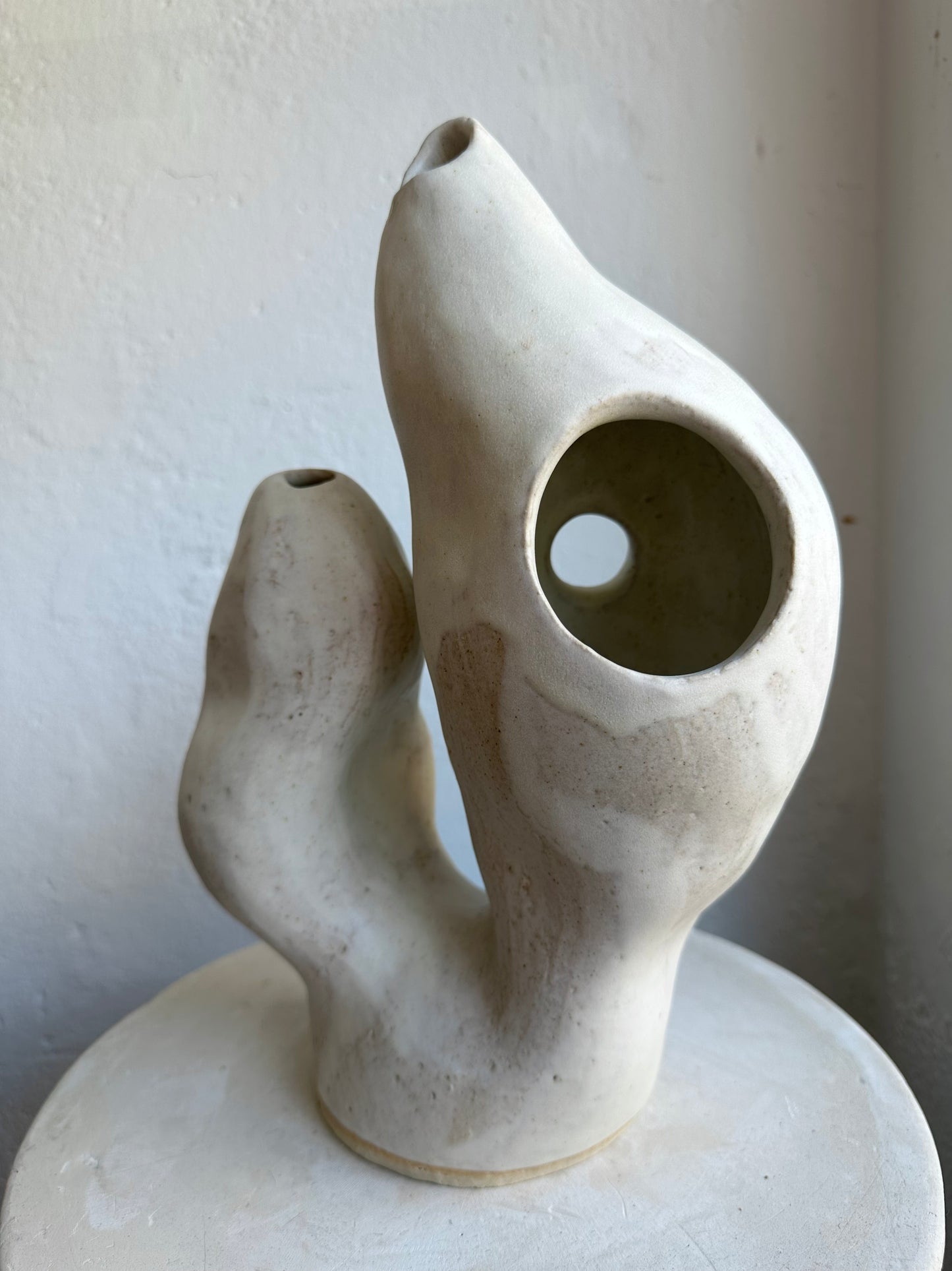 White Coral Form 01 (C31)