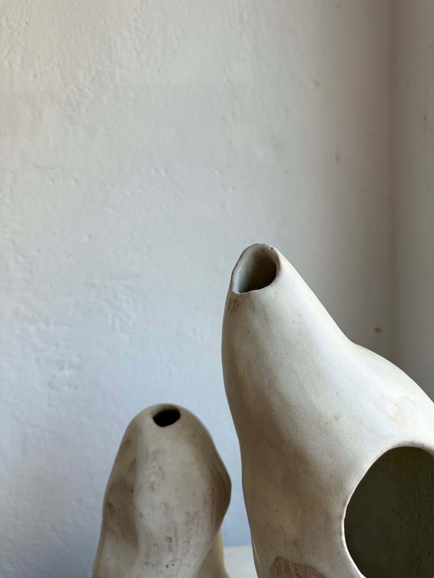 White Coral Form 01 (C31)