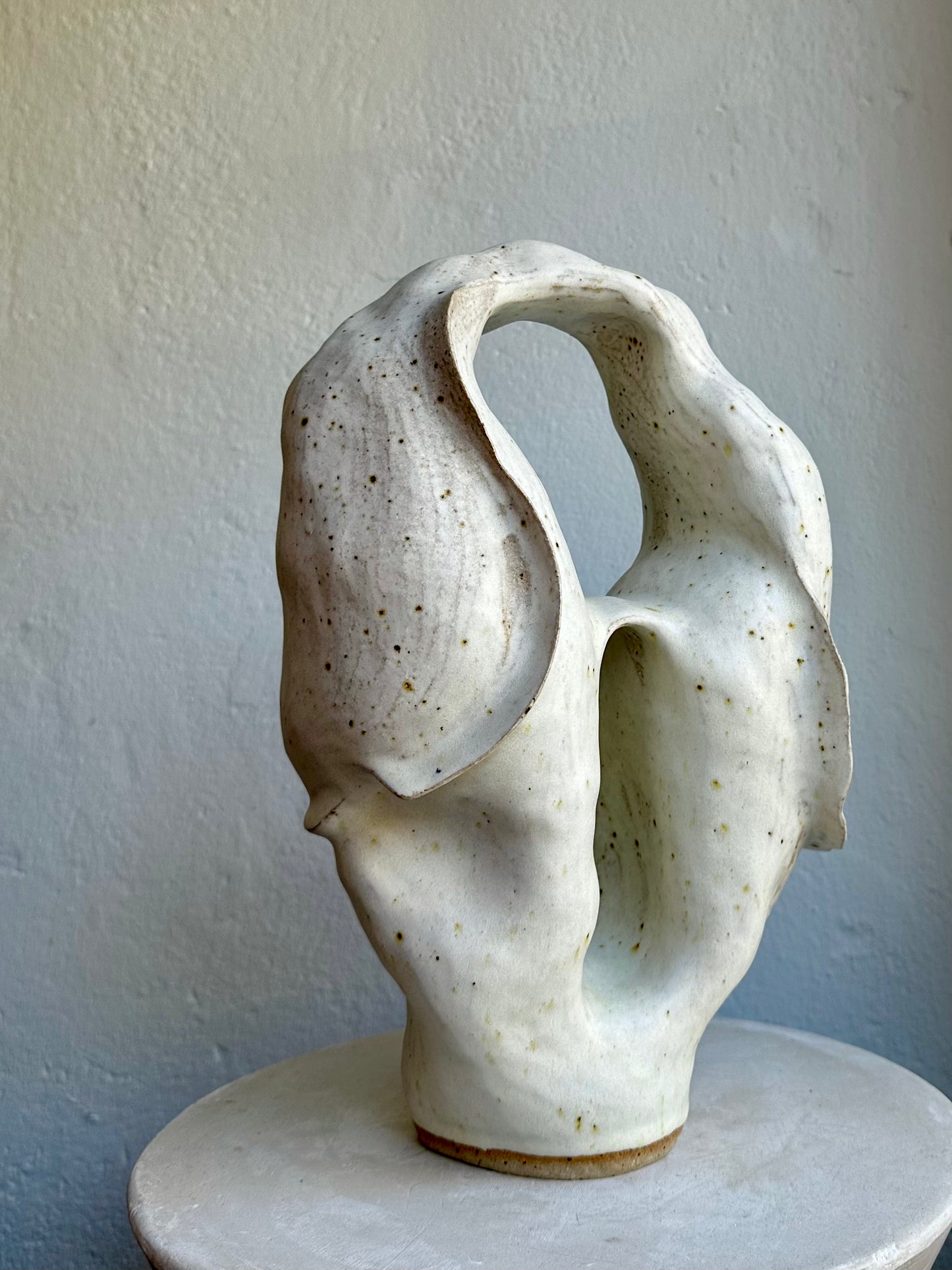 Closed Coral Form 01 (C32)
