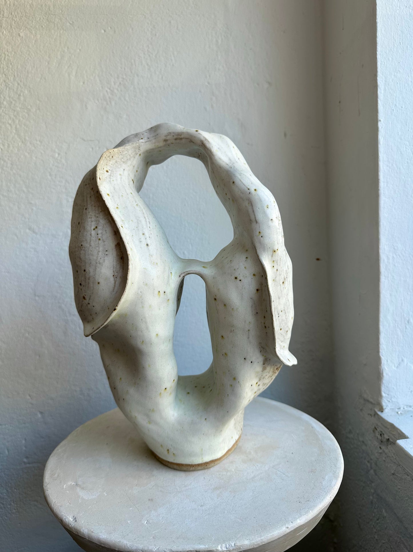 Closed Coral Form 01 (C32)
