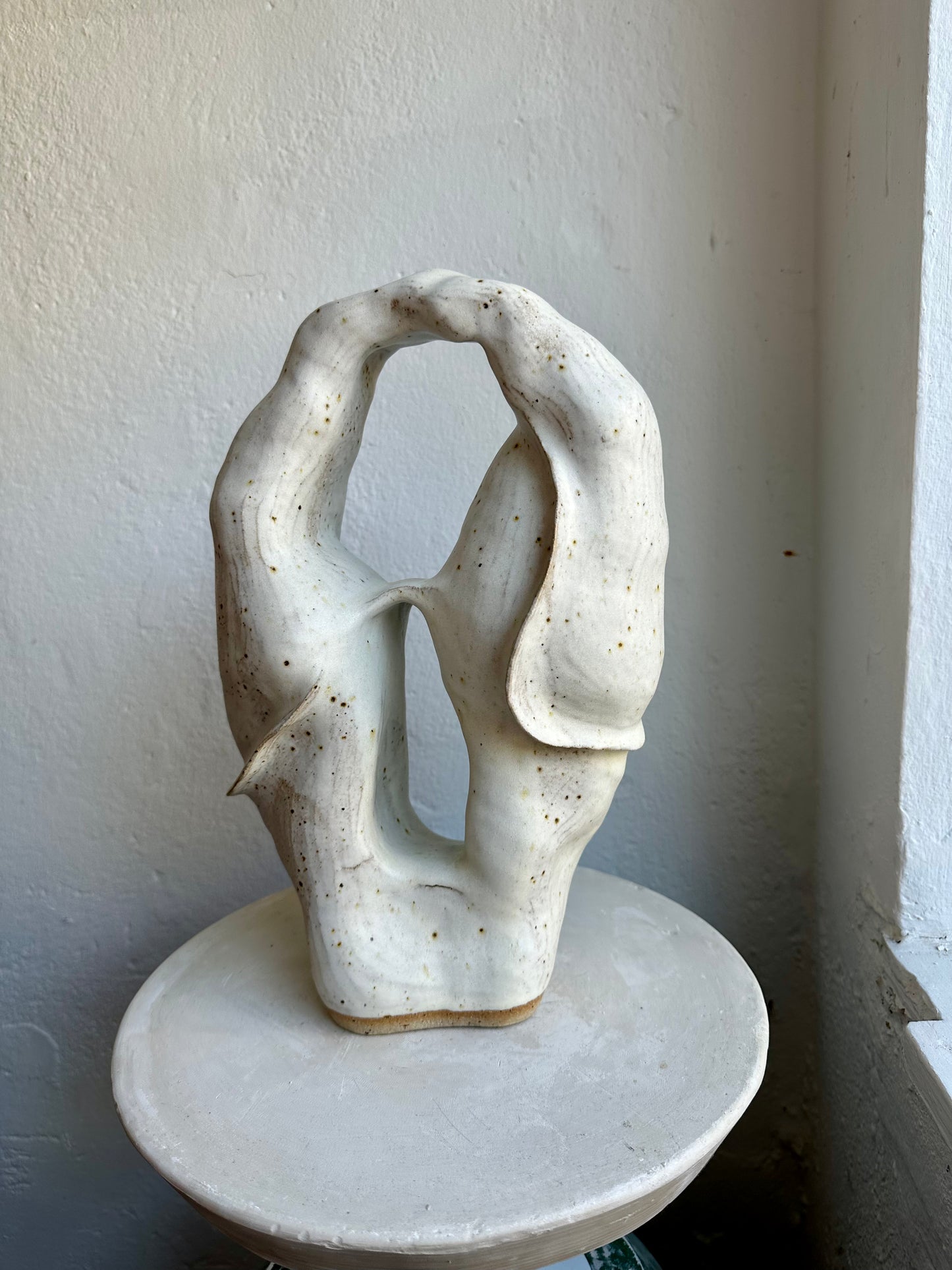 Closed Coral Form 01 (C32)
