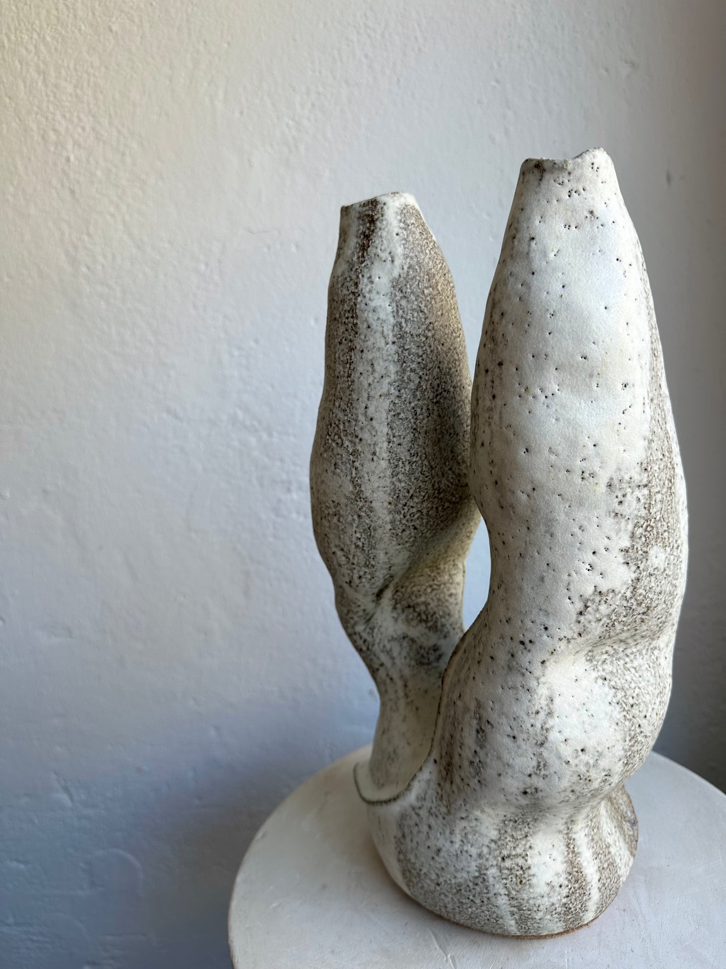 White Coral Wing Form 01 (C33)